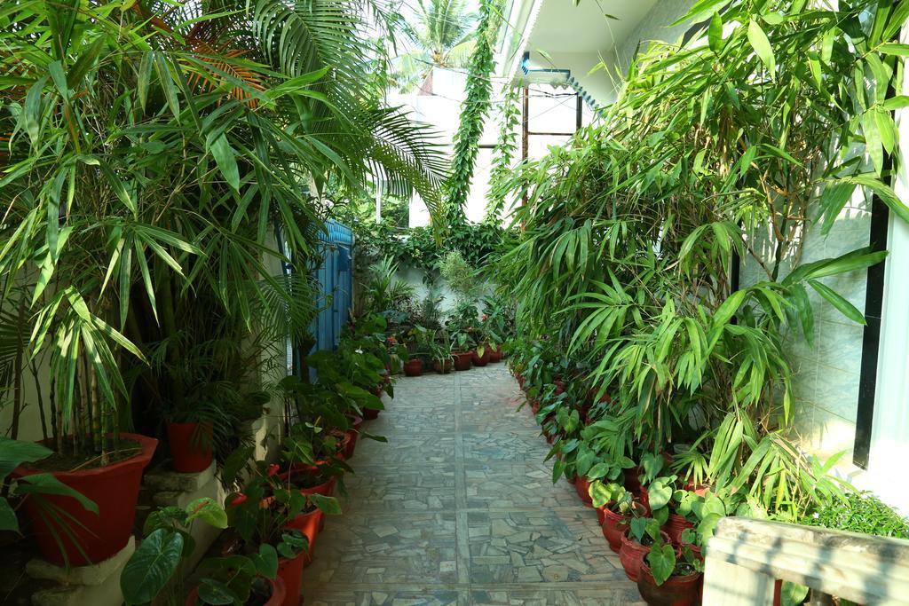 Dream Catcher Home Stay Kochi Dış mekan fotoğraf
